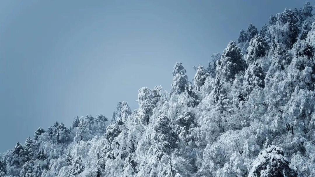 太空“快递”变“速运” 天舟七号飞船解锁新交会对接模式